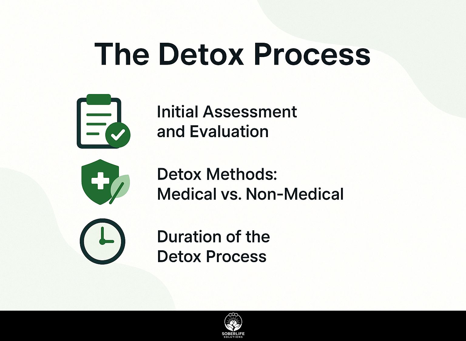 The Detox Process