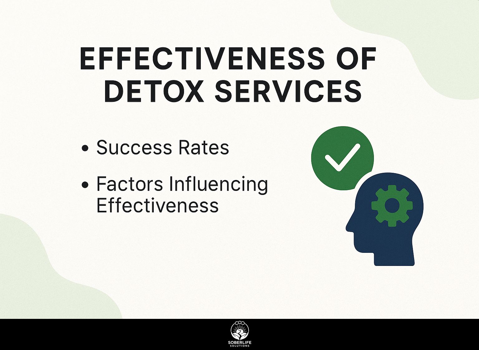 Effectiveness of Detox Services