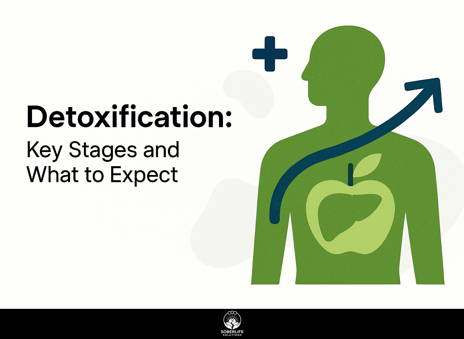 Detoxification: Key Stages and What to Expect