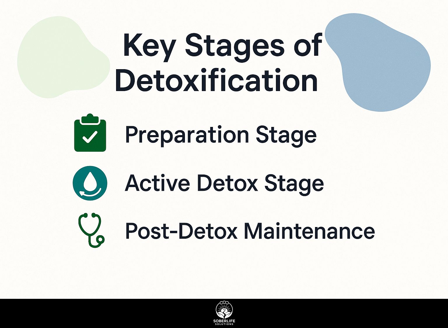 Key Stages of Detoxification