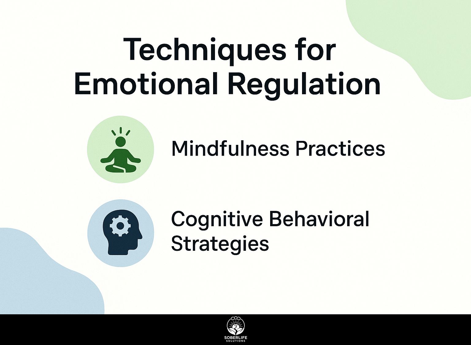 Techniques for Emotional Regulation