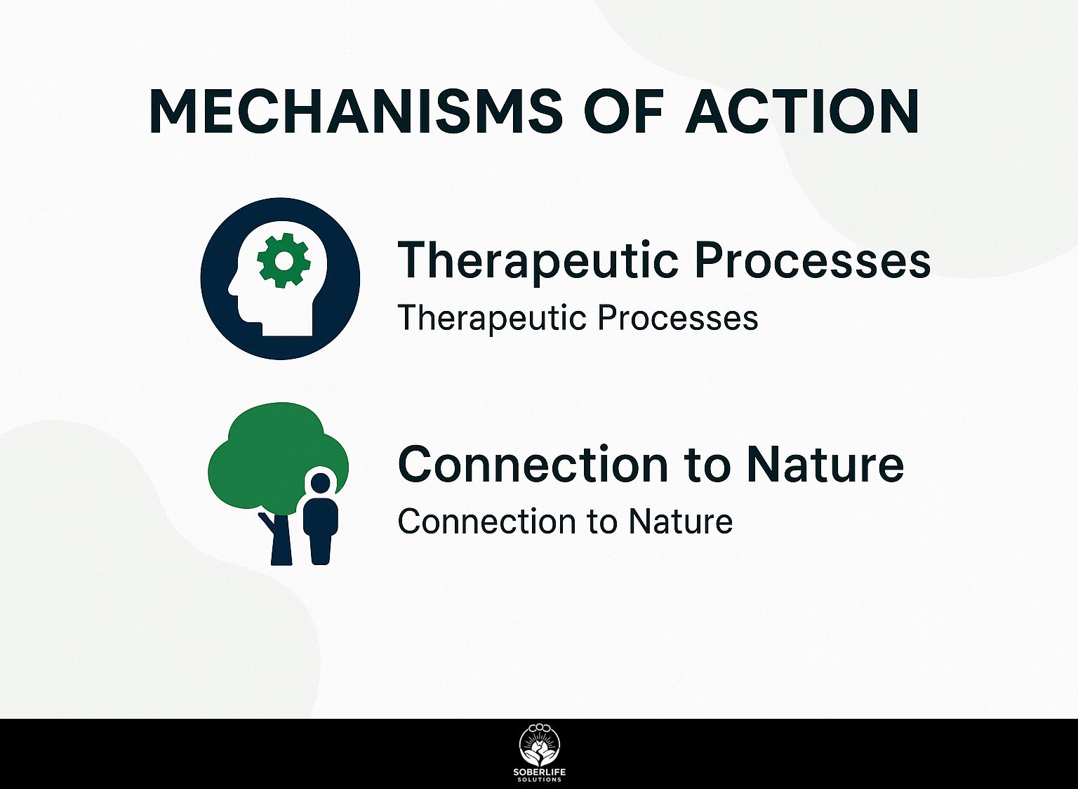Mechanisms of Action