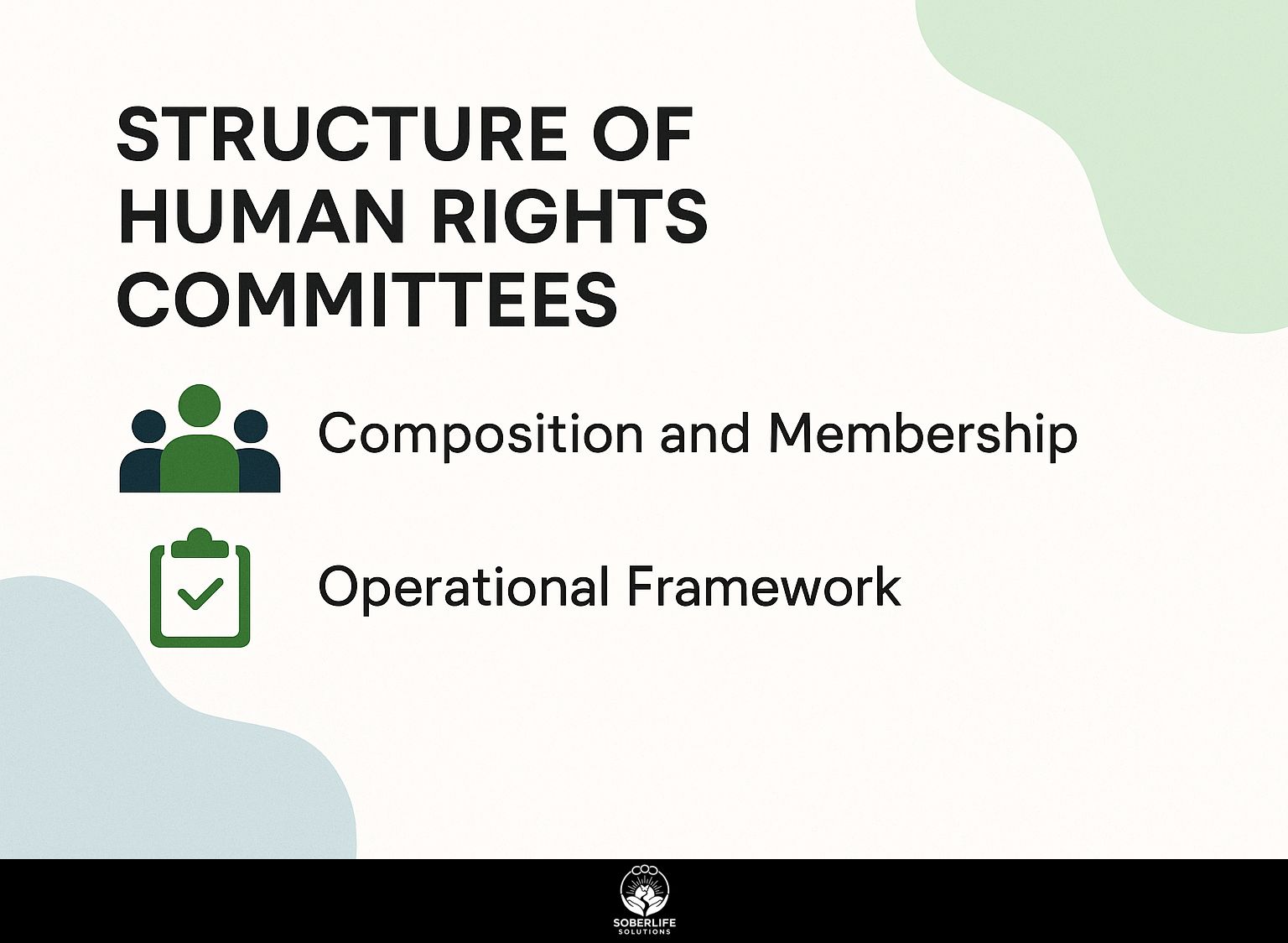 Structure of Human Rights Committees