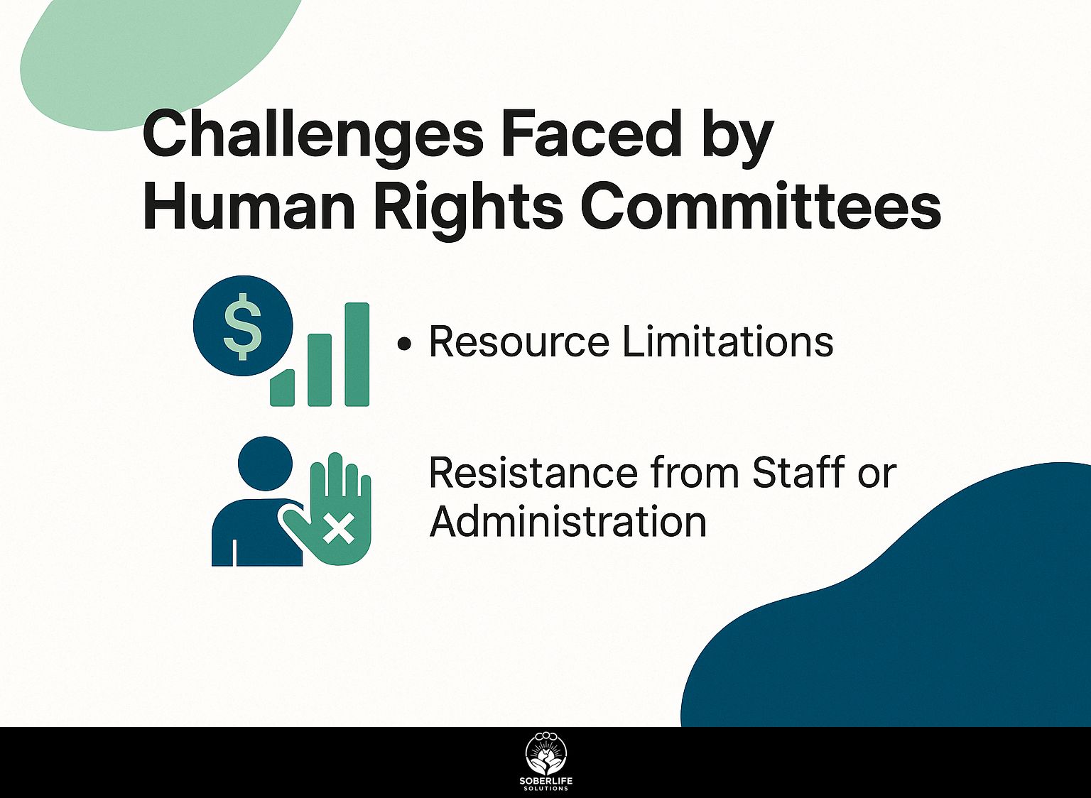 Challenges Faced by Human Rights Committees