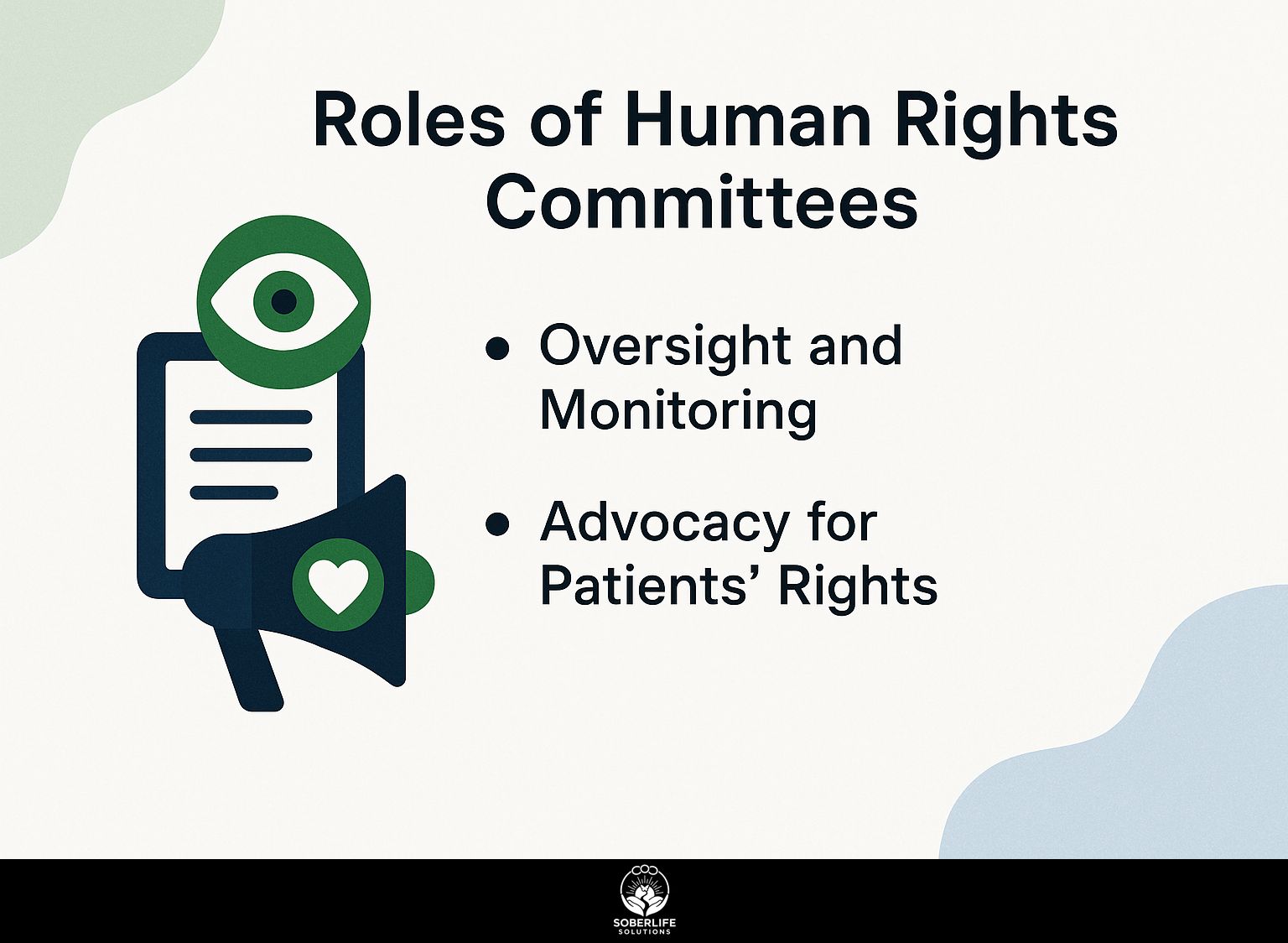 Roles of Human Rights Committees