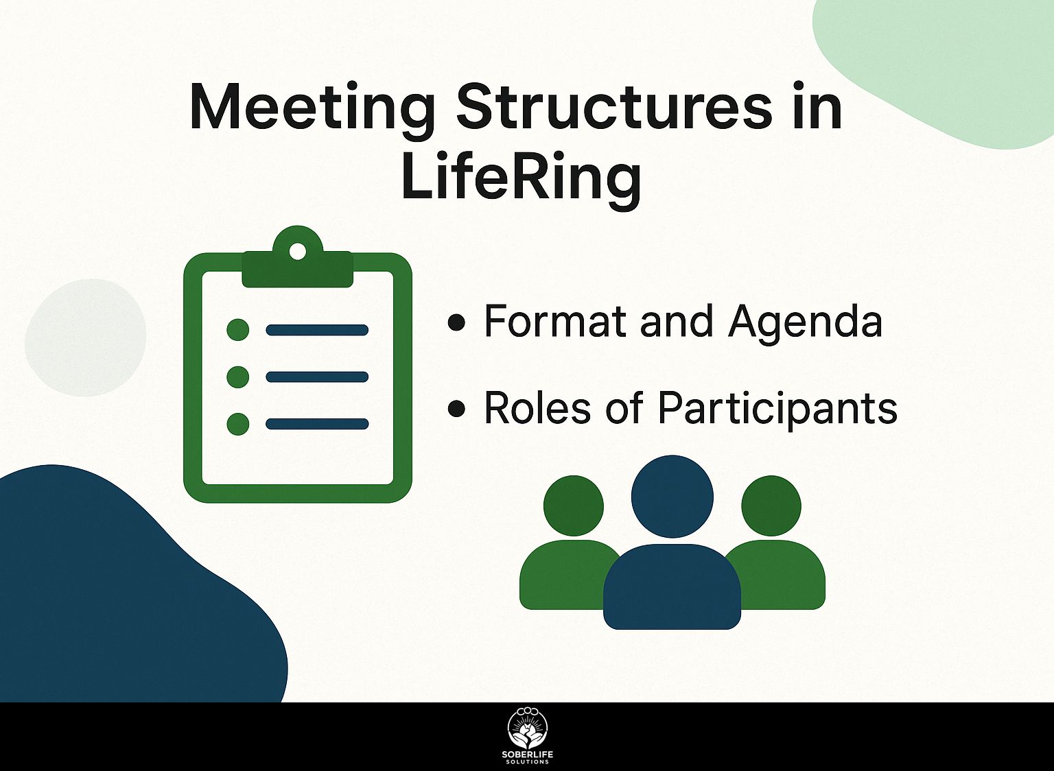 Meeting Structures in LifeRing