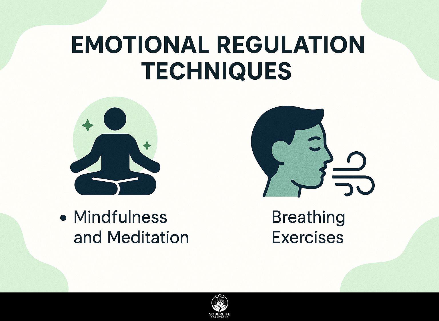 Emotional Regulation Techniques