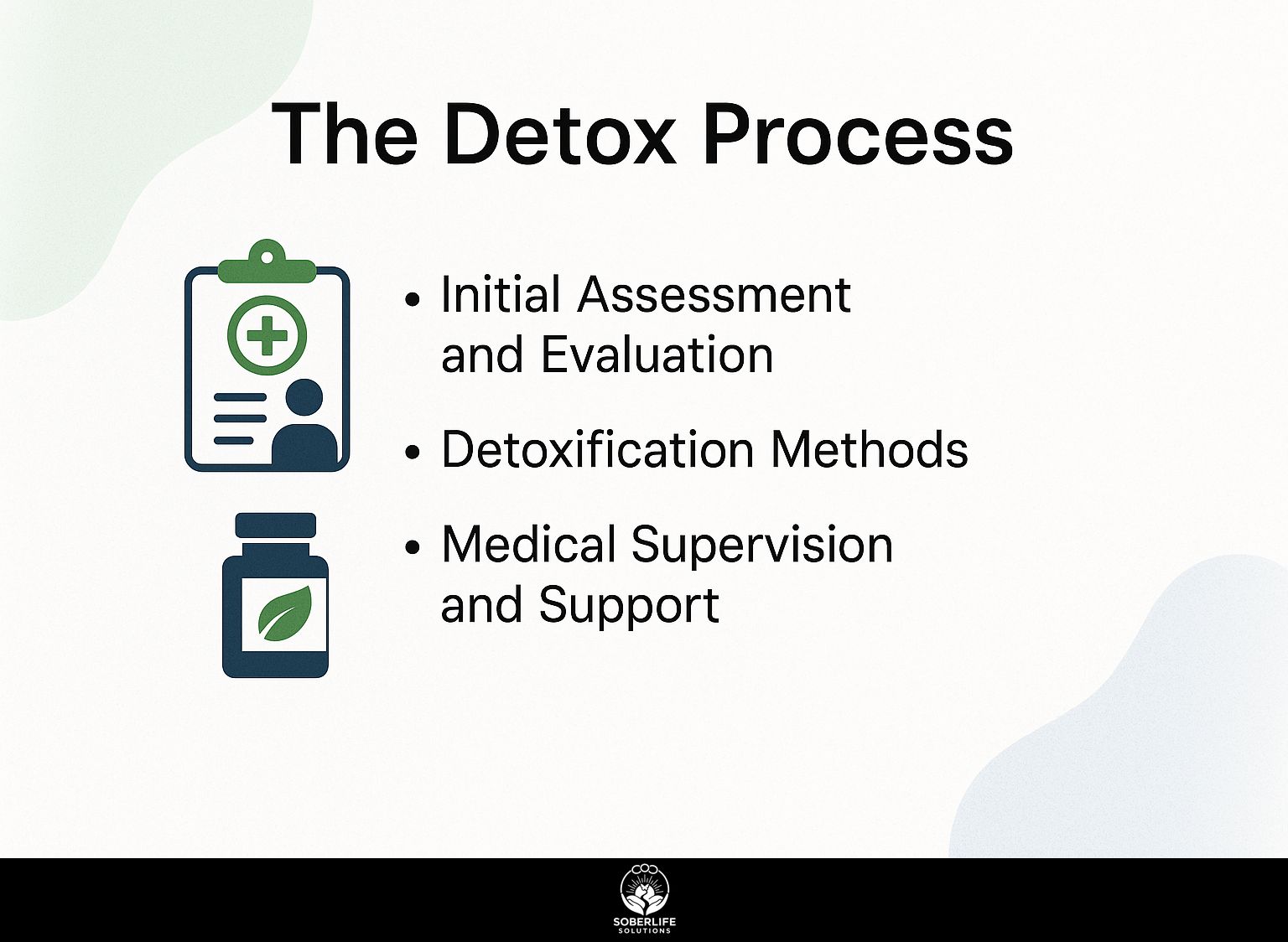 The Detox Process