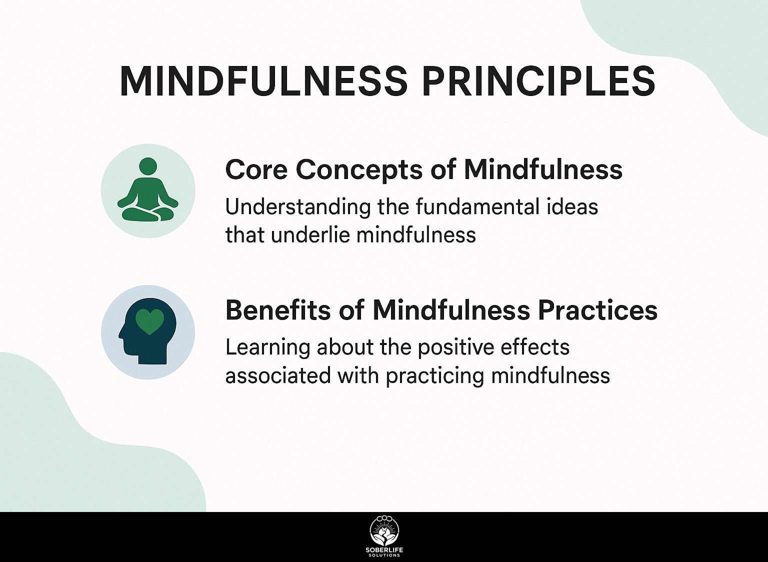 Mindfulness Principles