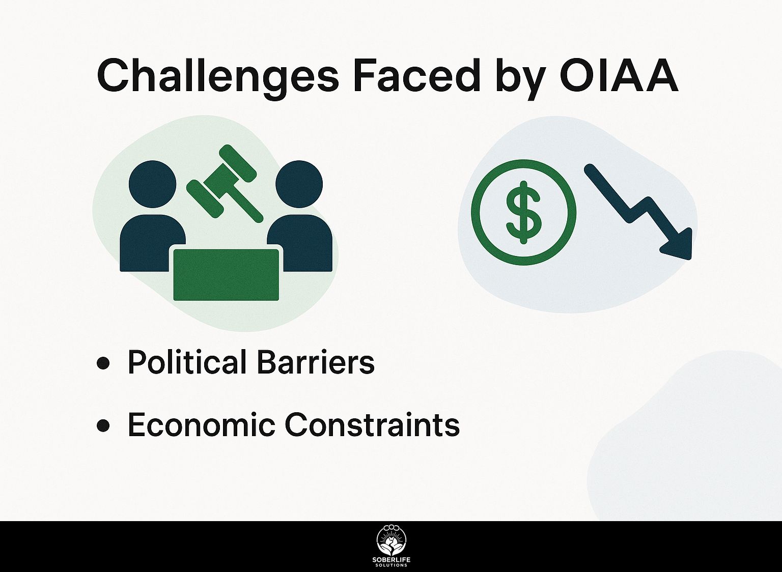 Challenges Faced by OIAA