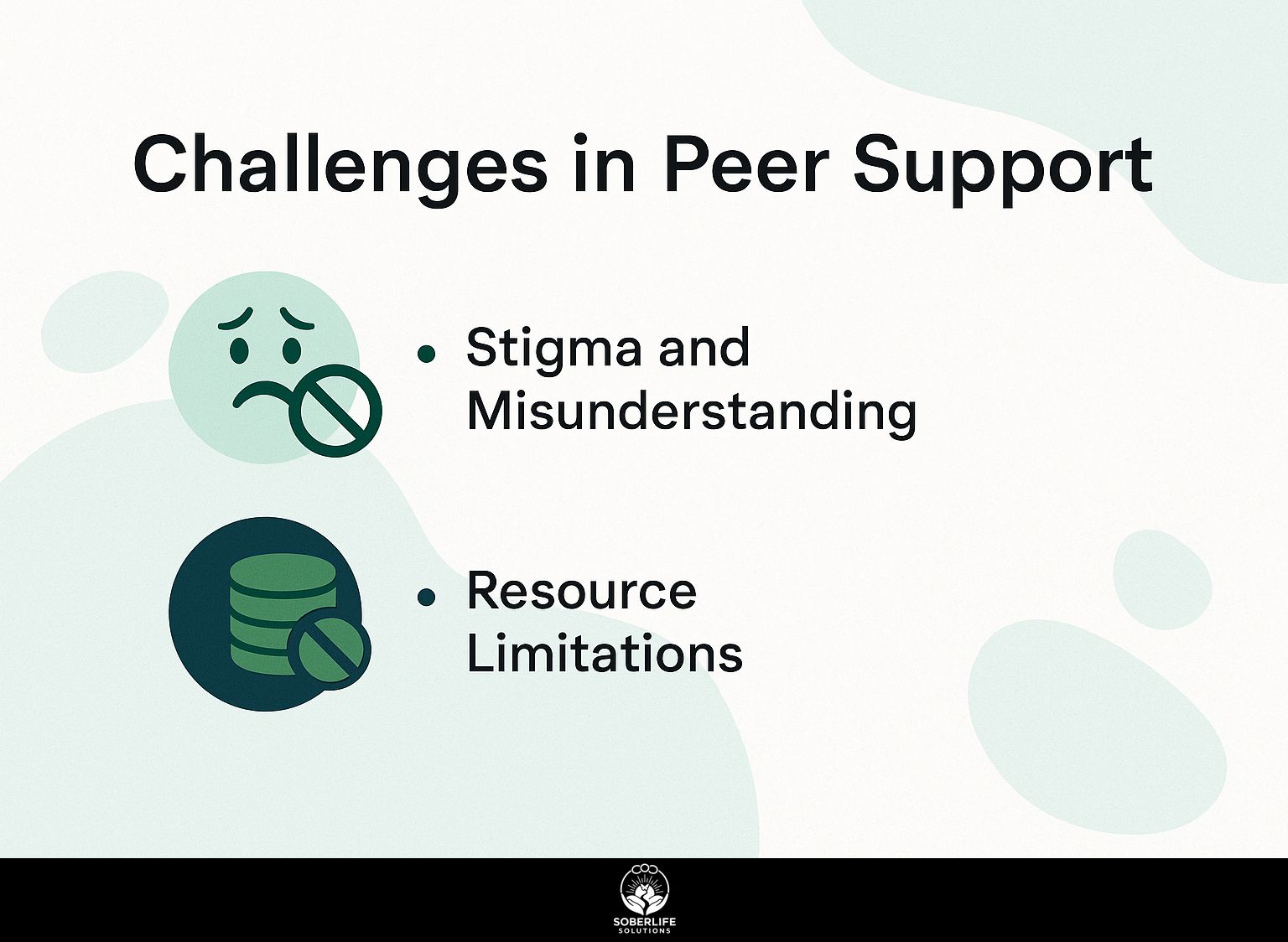 Challenges in Peer Support