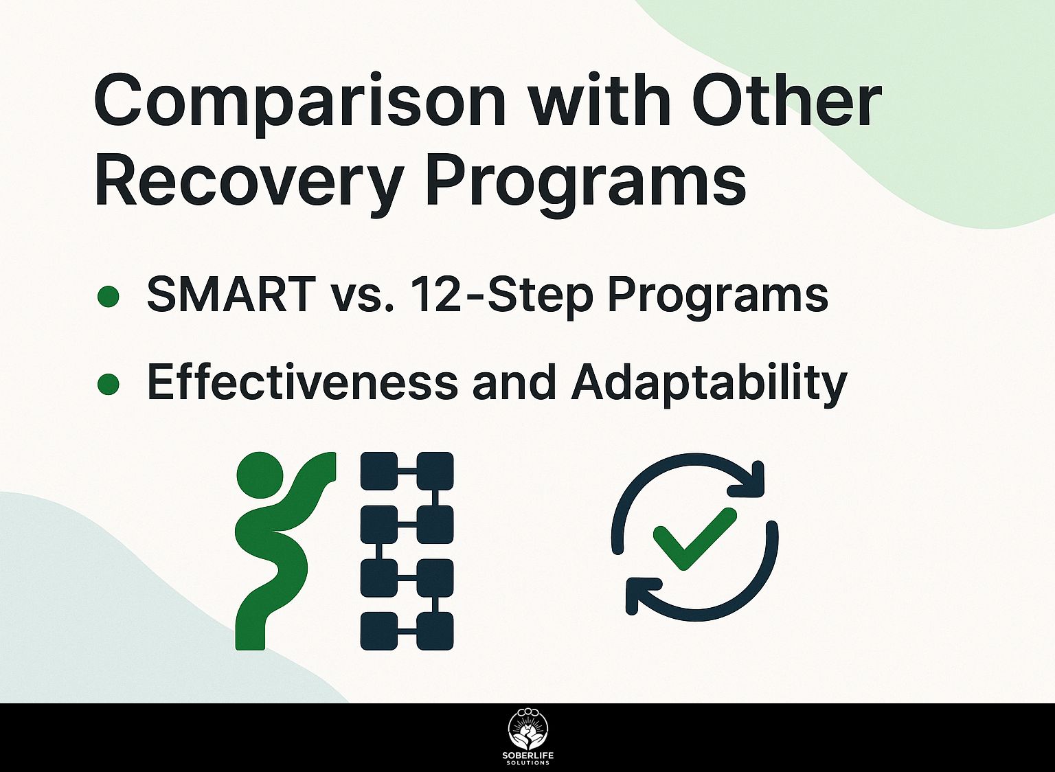 Comparison with Other Recovery Programs
