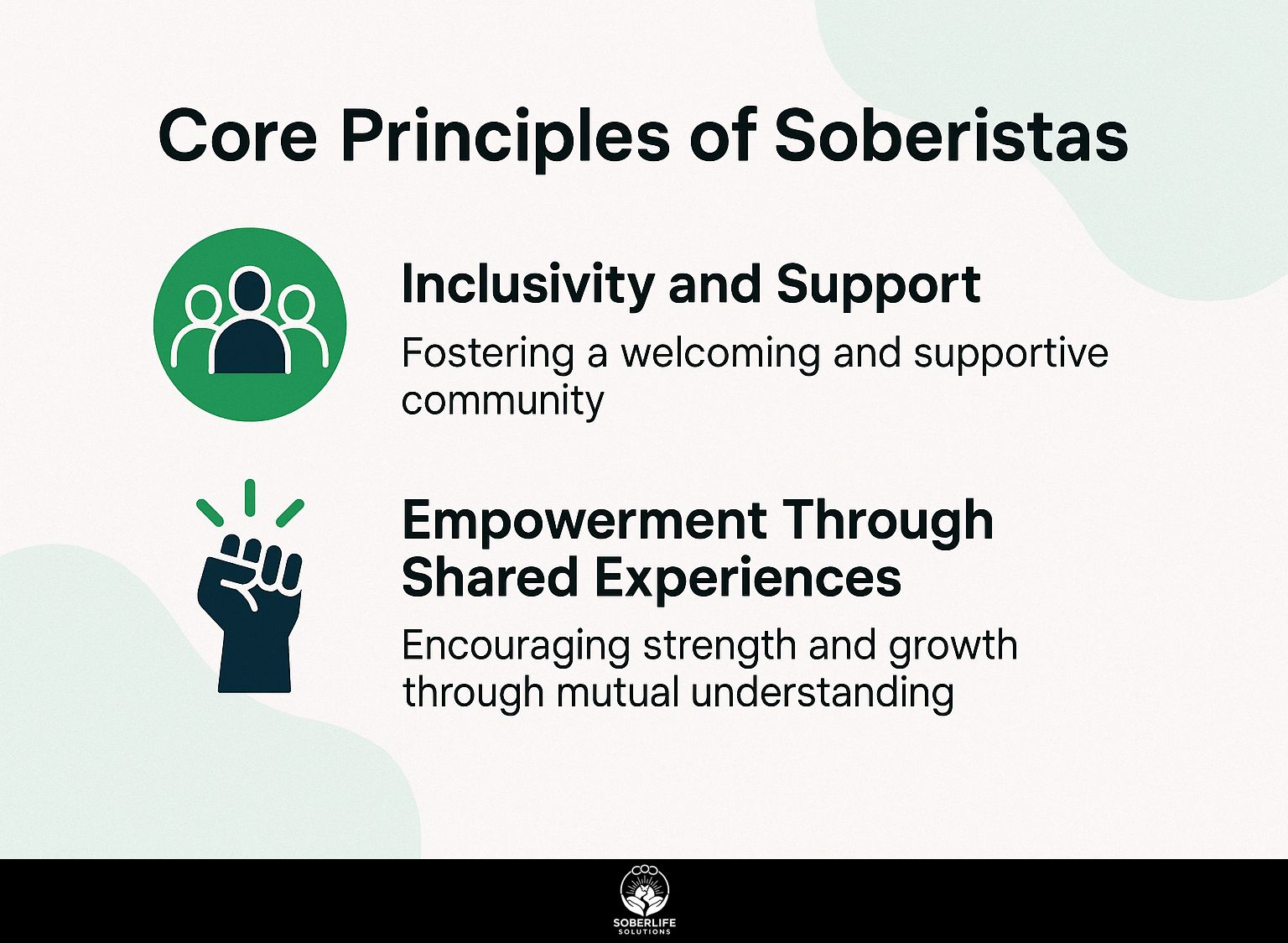 Core Principles of Soberistas