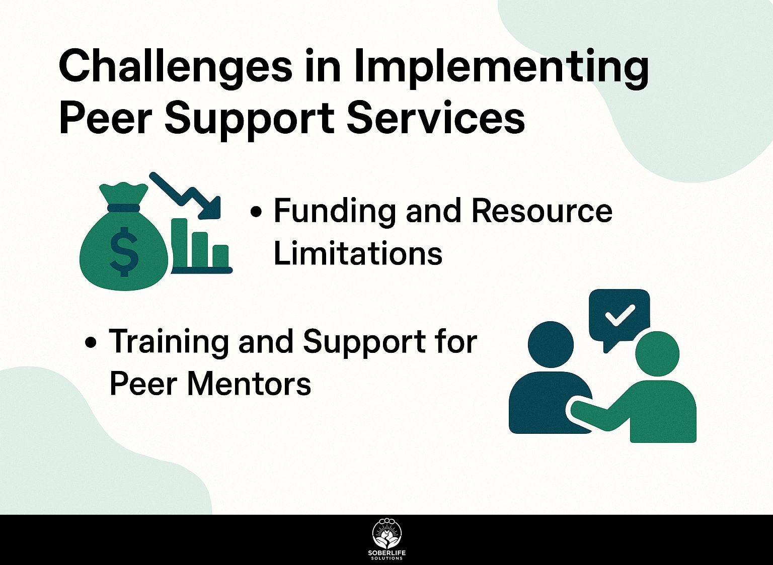 Challenges in Implementing Peer Support Services