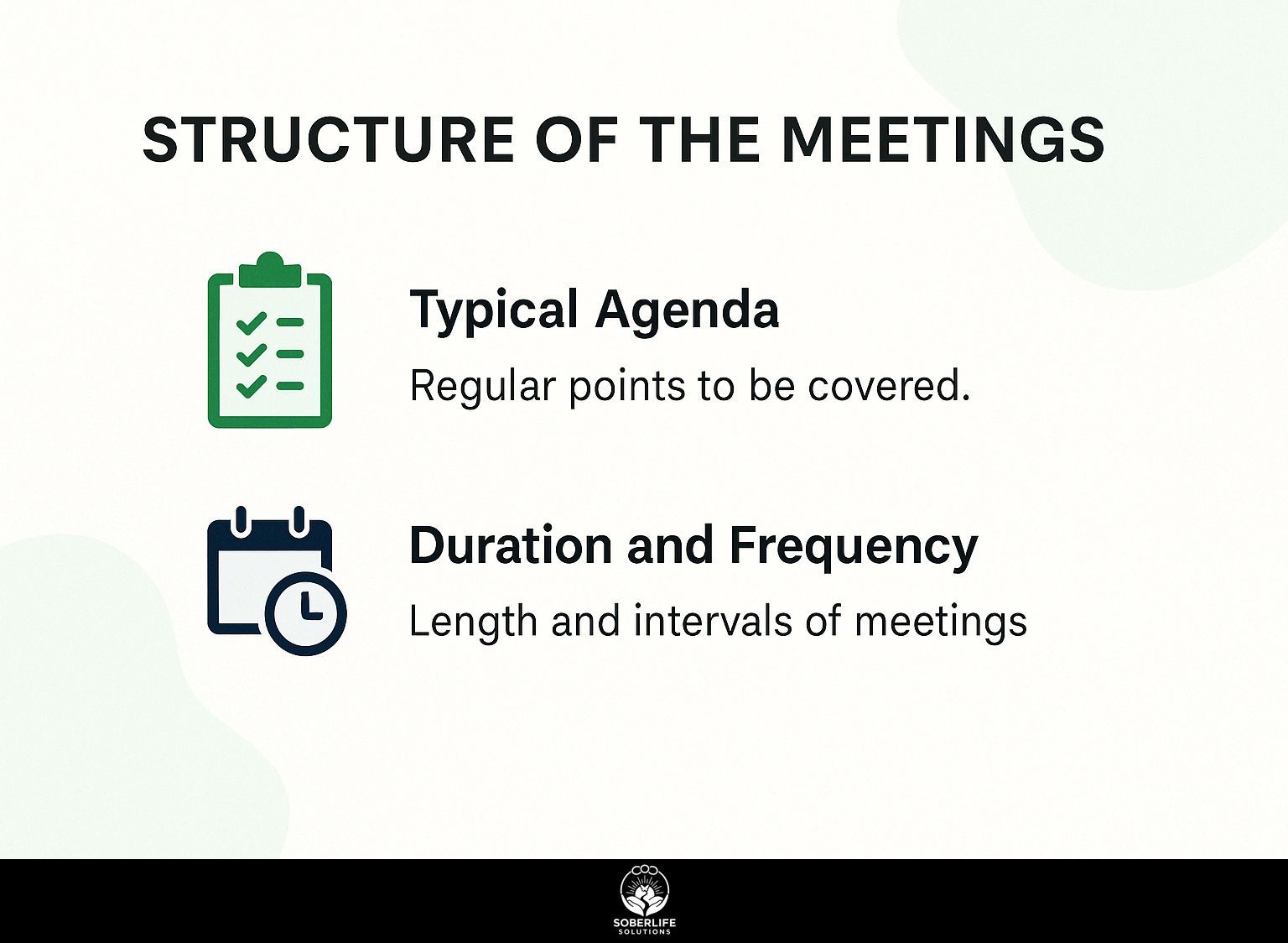 Structure of the Meetings