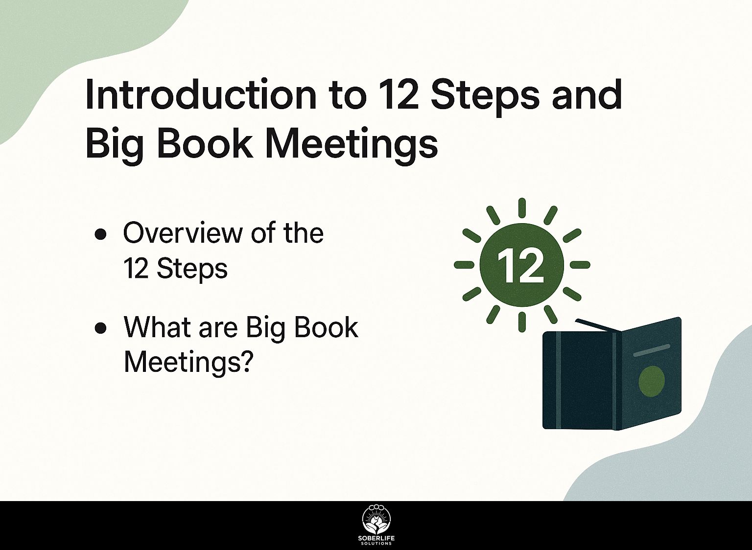 Introduction to 12 Steps and Big Book Meetings
