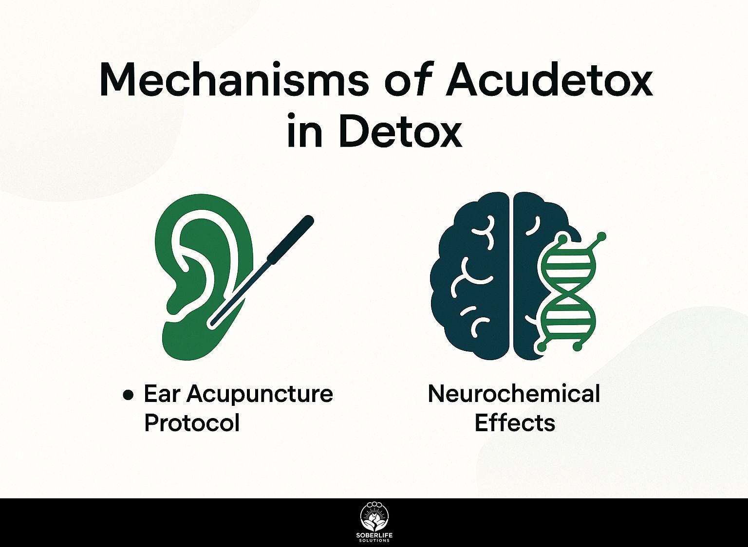 Mechanisms of Acudetox in Detox