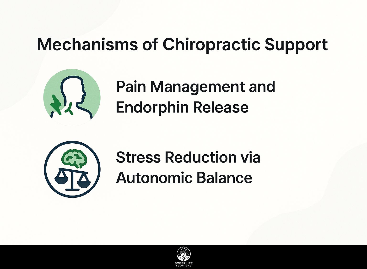 Mechanisms of Chiropractic Support
