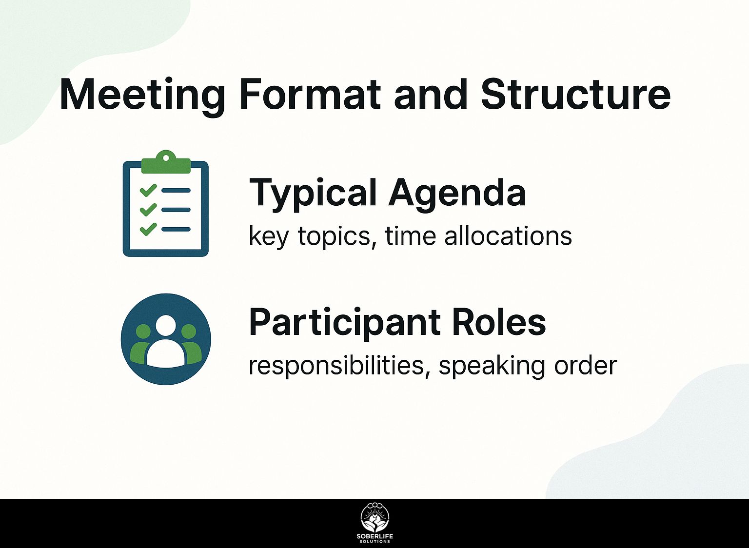 Meeting Format and Structure