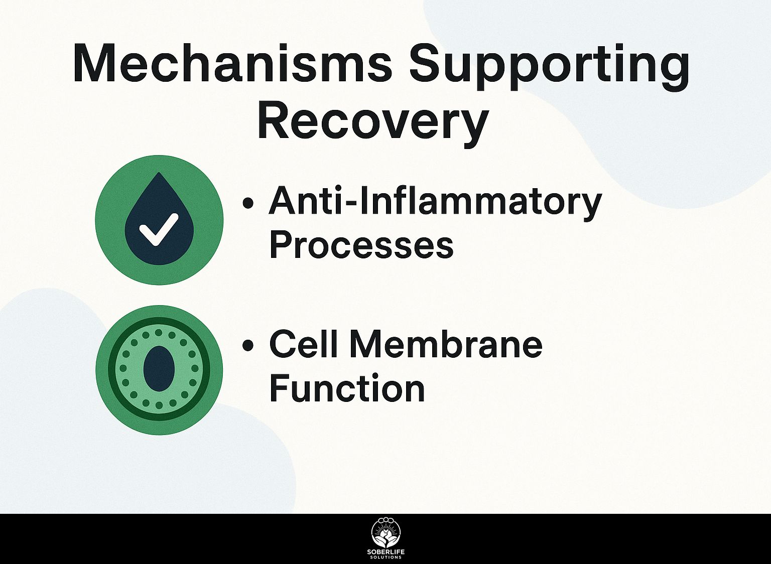 Mechanisms Supporting Recovery
