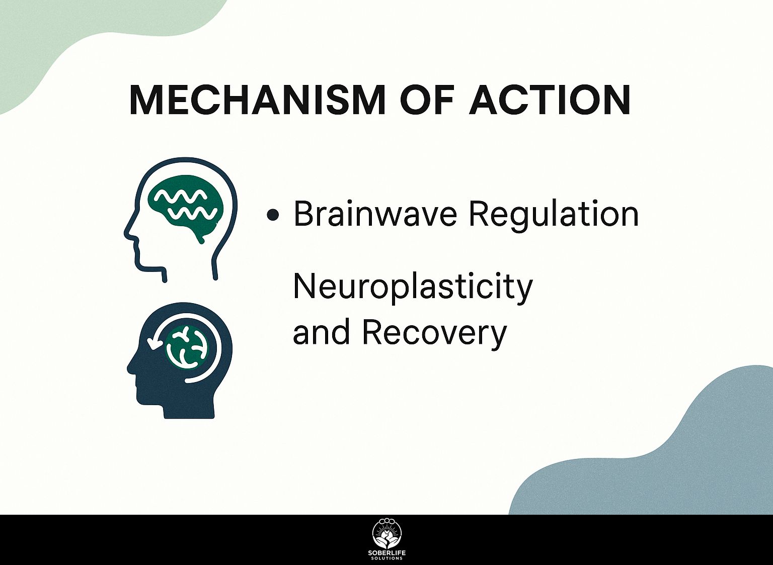Mechanism of Action