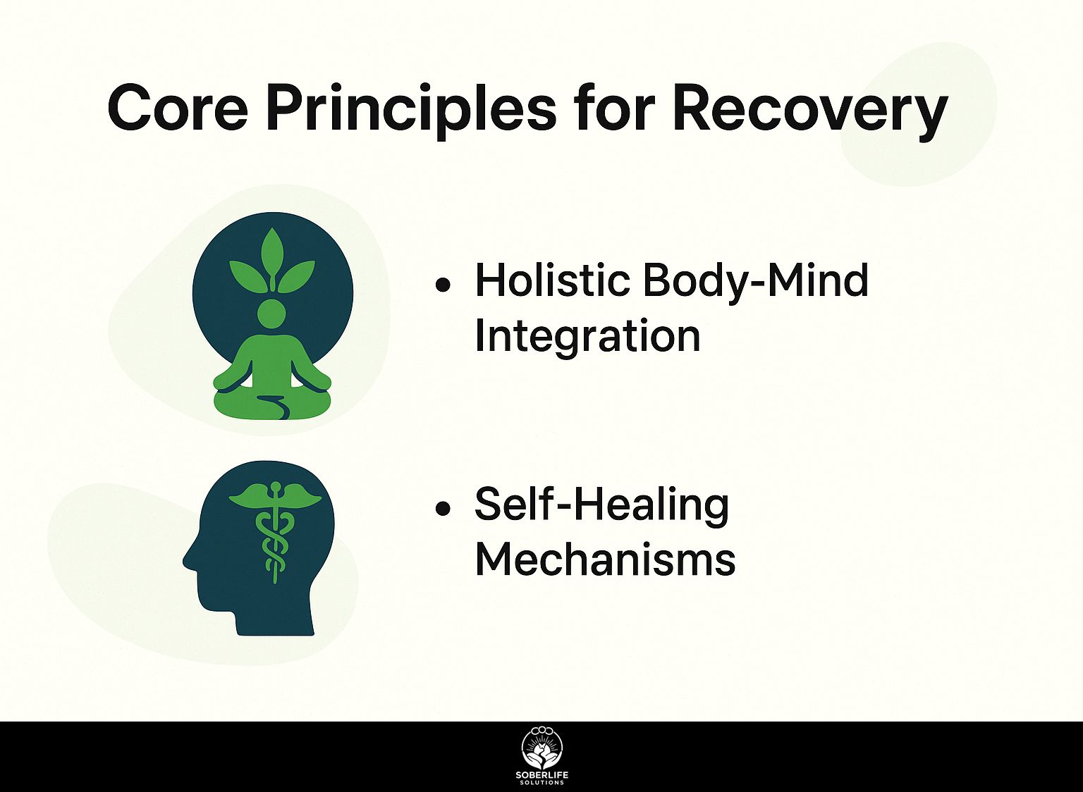 Core Principles for Recovery