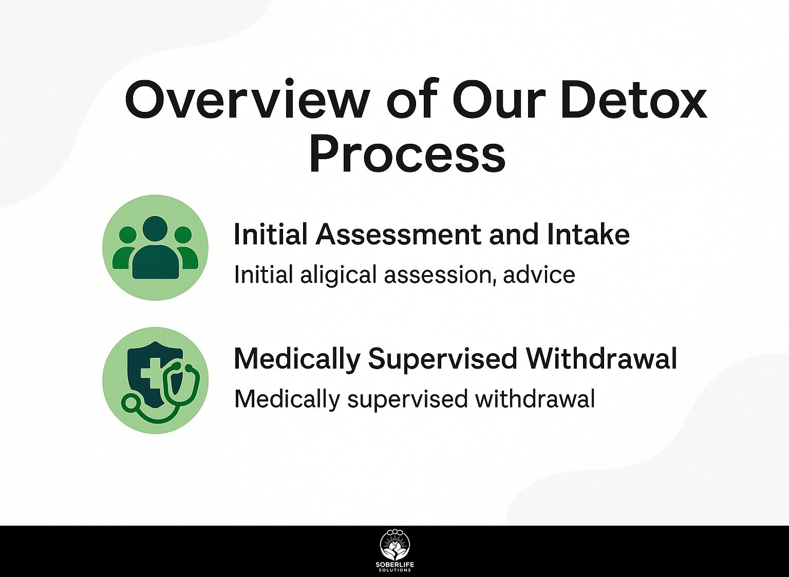 Overview of Our Detox Process