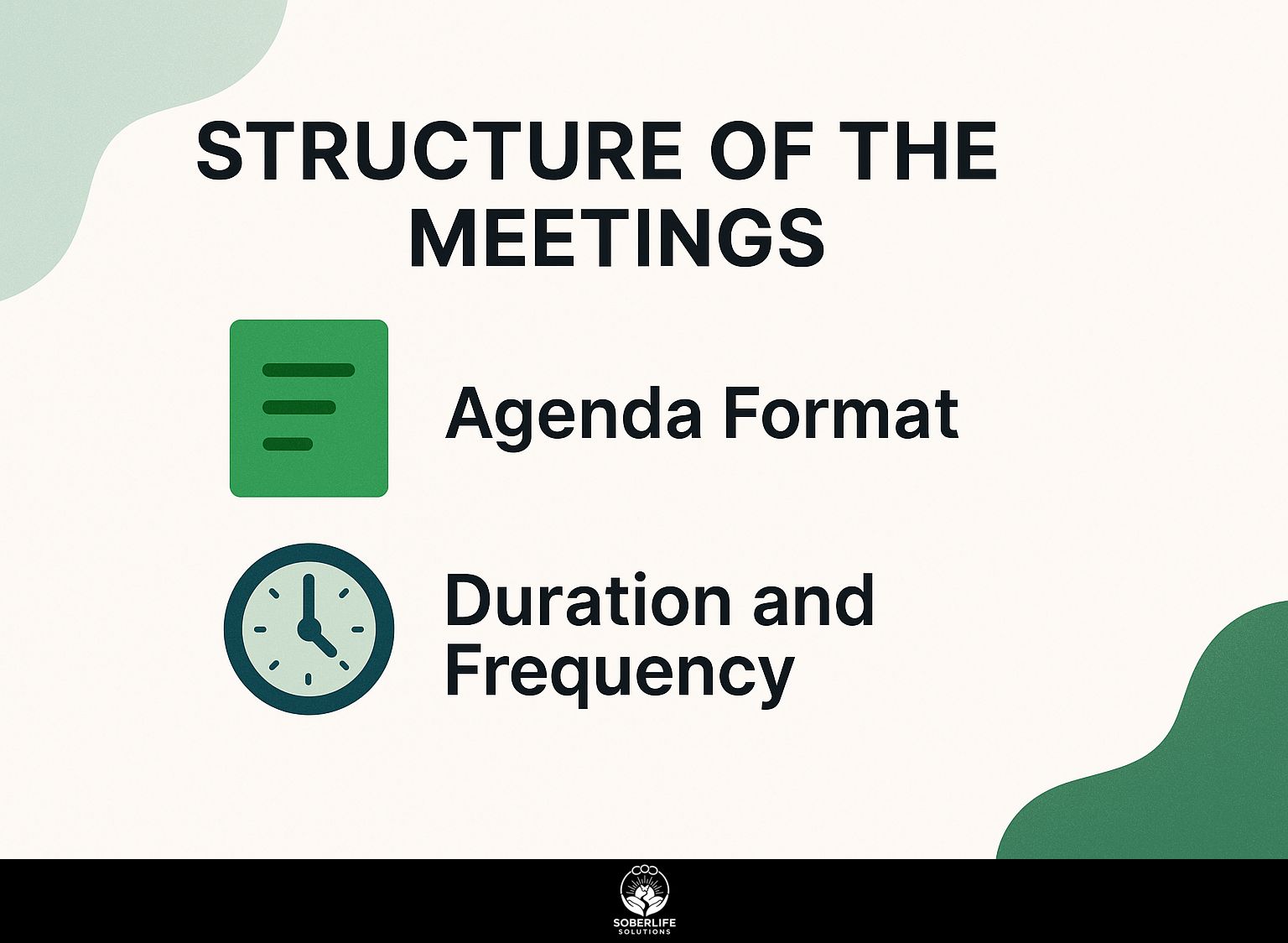 Structure of the Meetings