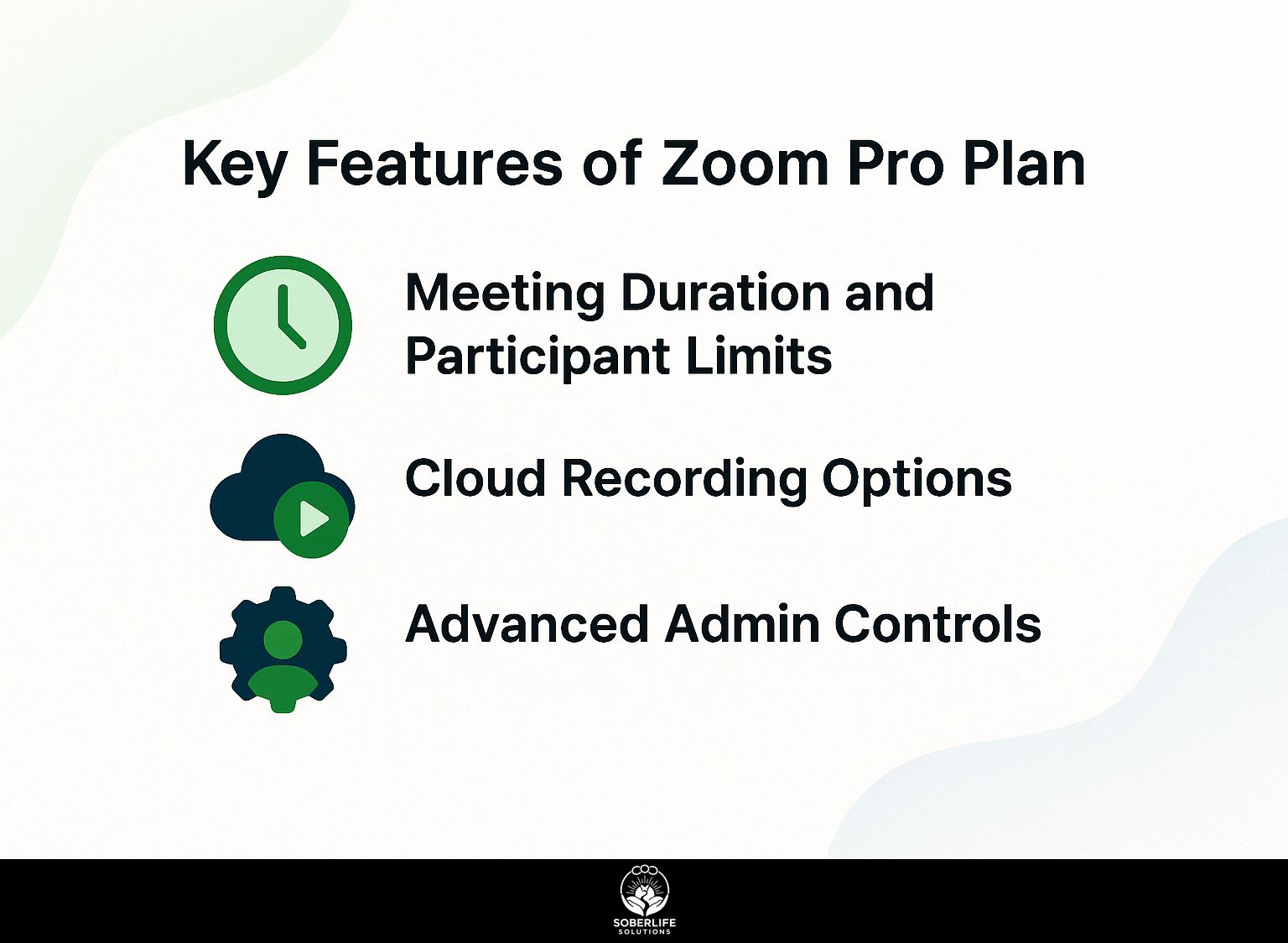 Key Features of Zoom Pro Plan