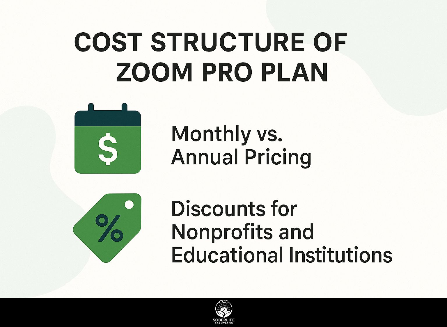Cost Structure of Zoom Pro Plan