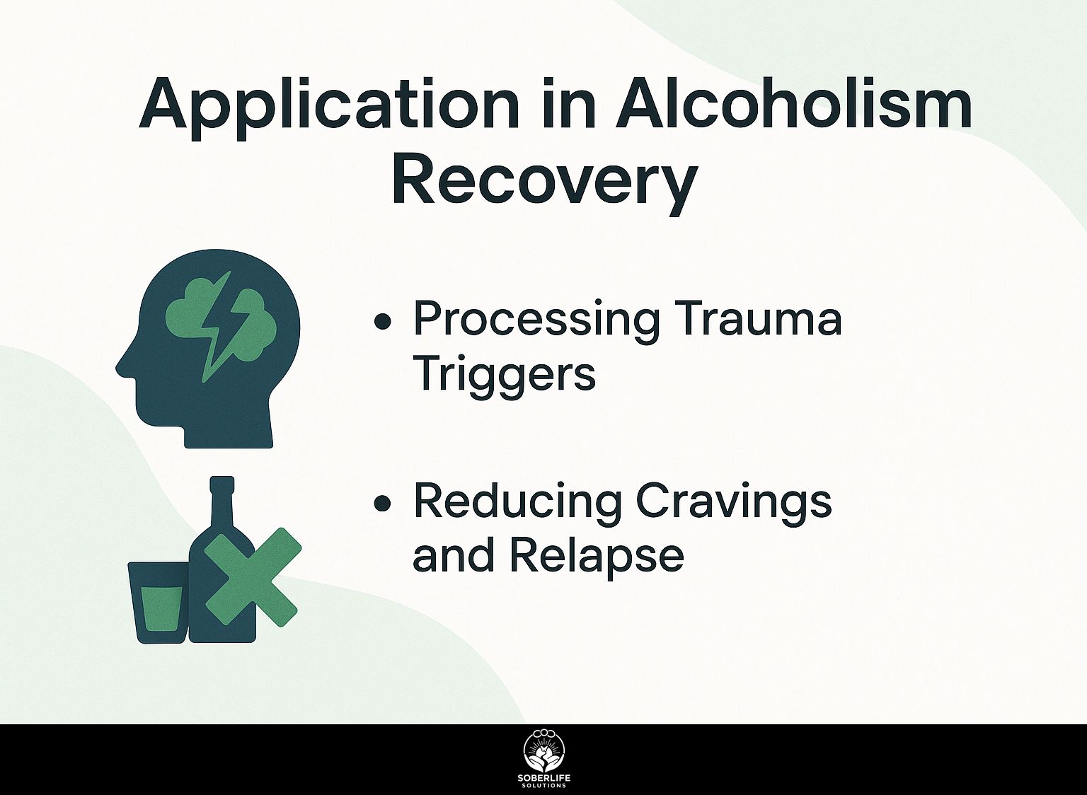 Application in Alcoholism Recovery