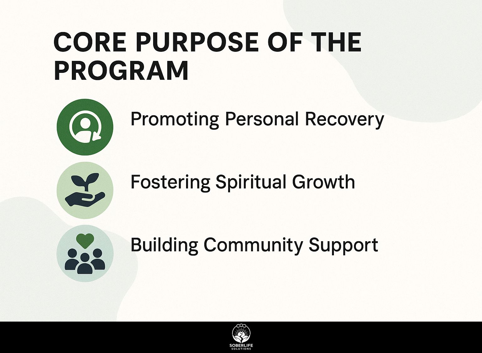 Core Purpose of the Program
