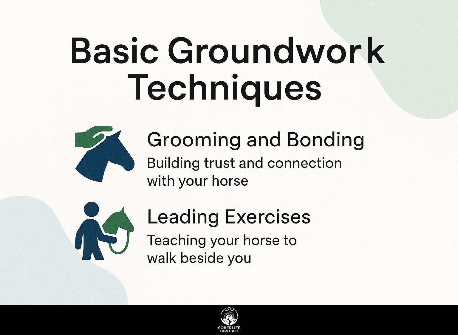 Basic Groundwork Techniques