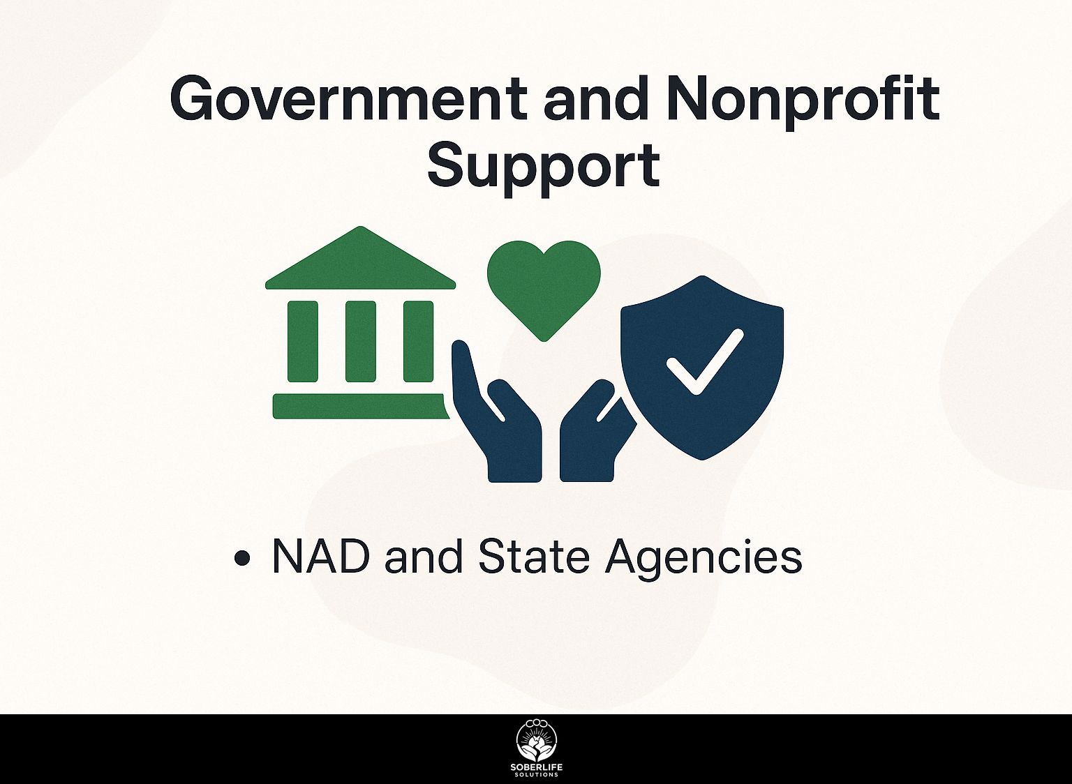 Government and Nonprofit Support