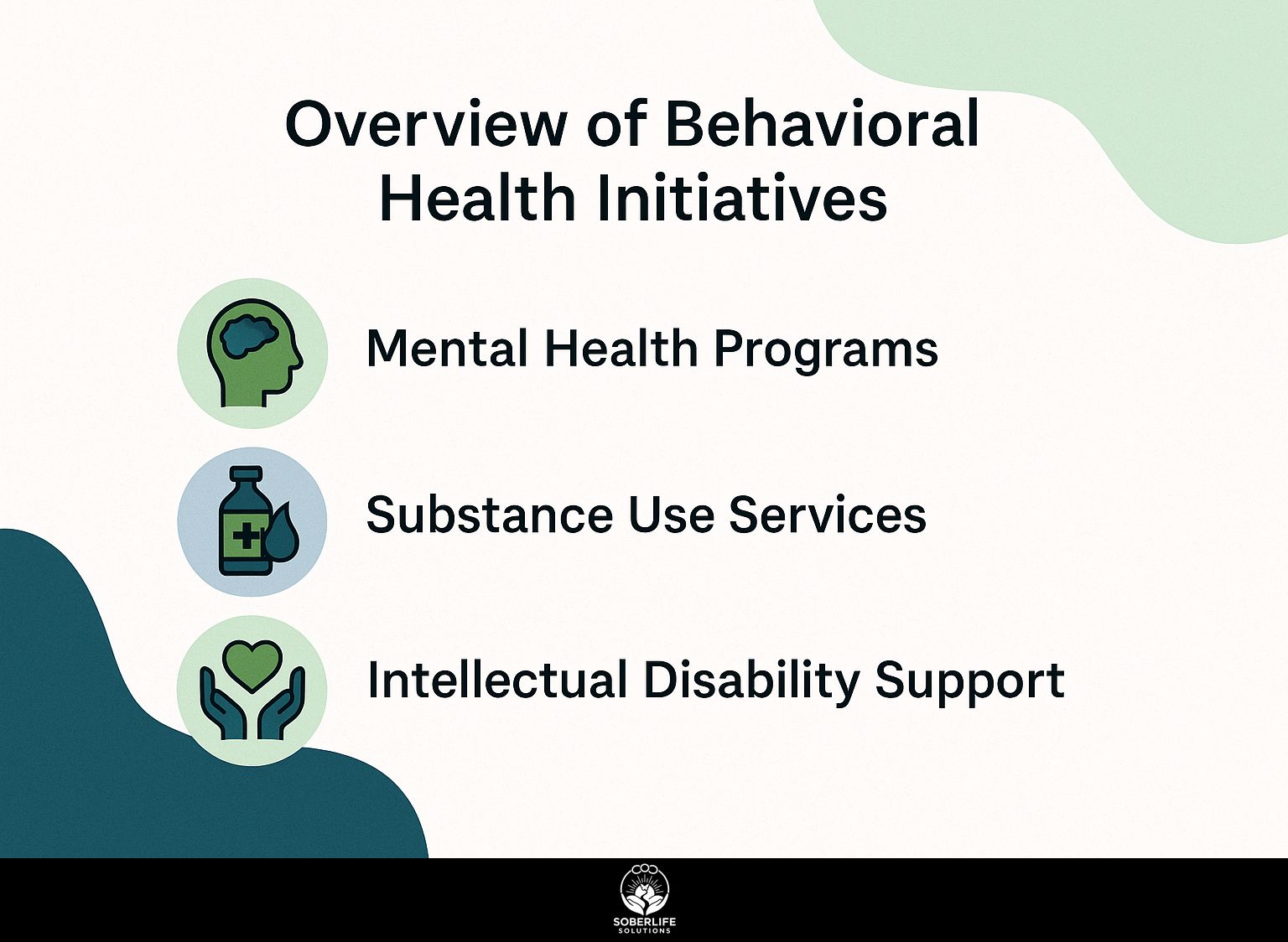 Overview of Behavioral Health Initiatives