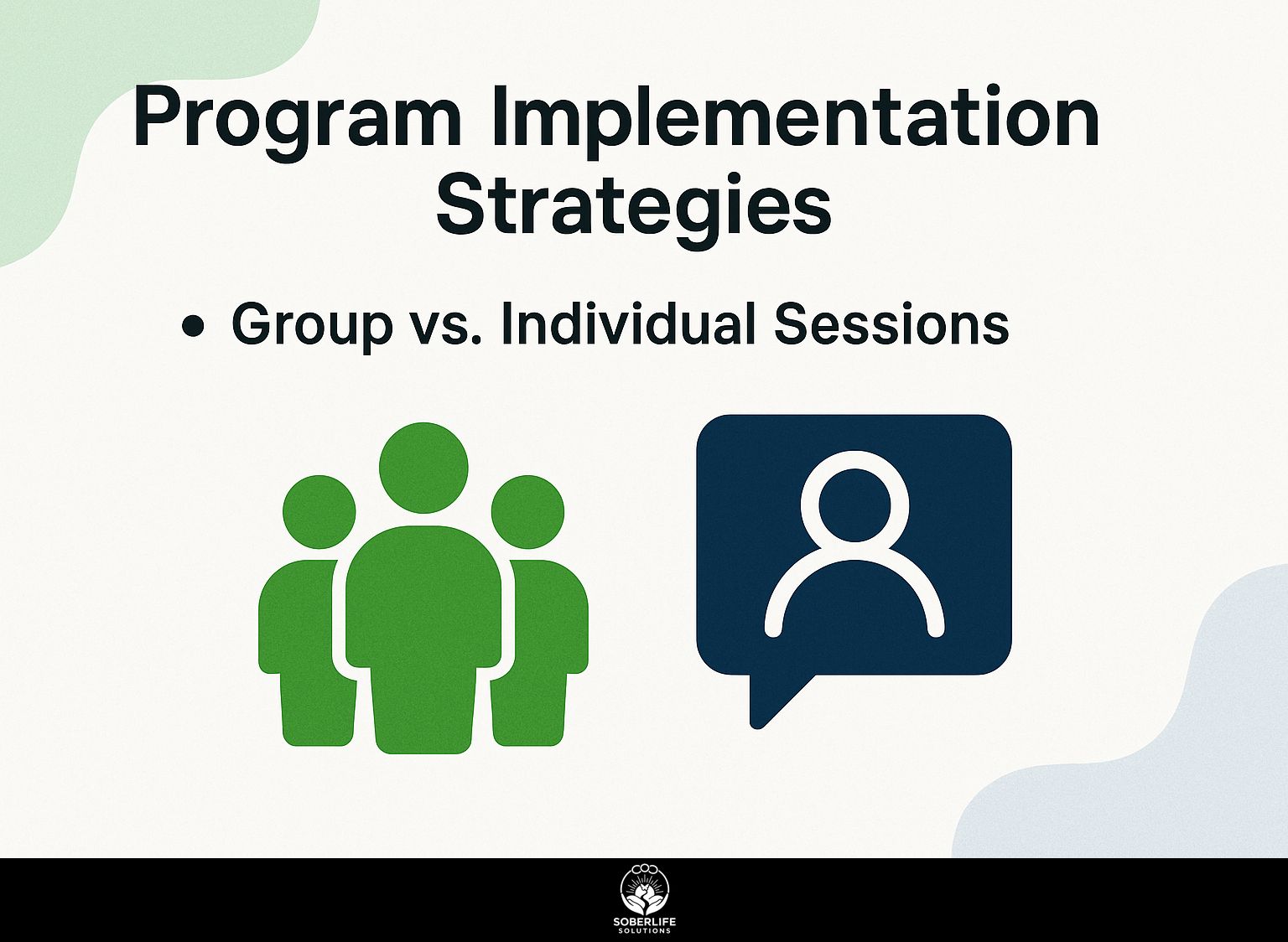 Program Implementation Strategies