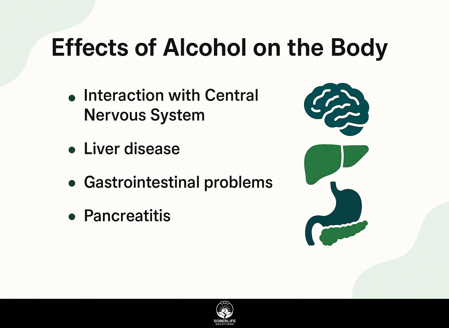 Effects of Alcohol on the Body