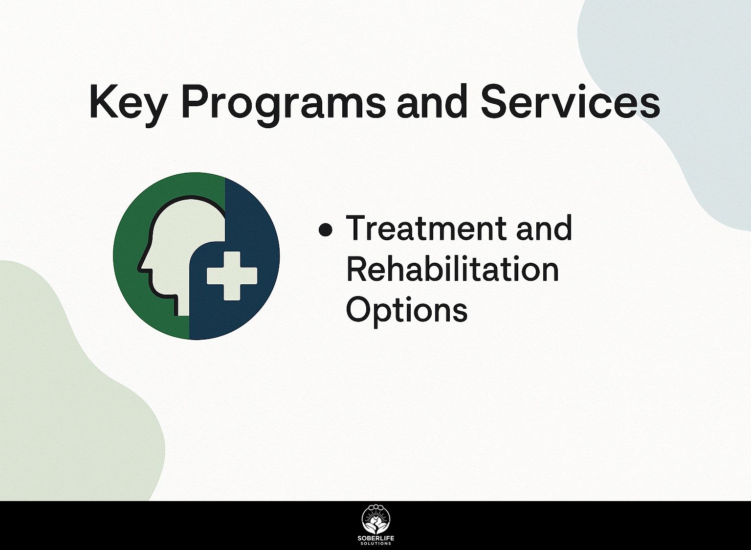 Key Programs and Services