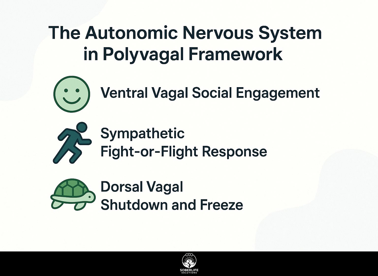 The Autonomic Nervous System in Polyvagal Framework