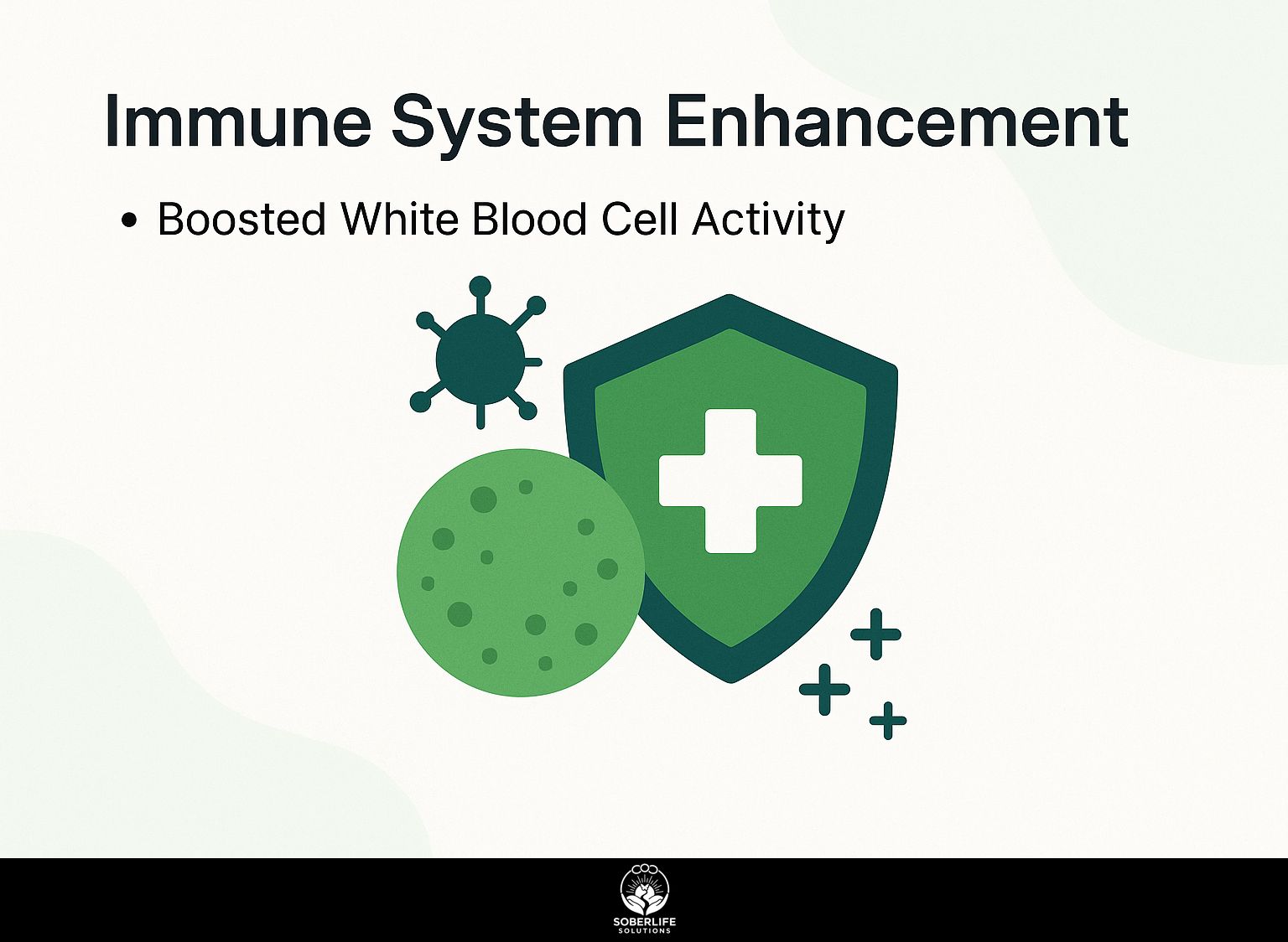Immune System Enhancement